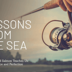 Lessons from the Sea: What Smoked Salmon Teaches Us About Patience and Perfection